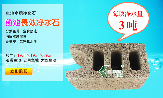 大塊魚池凈水石